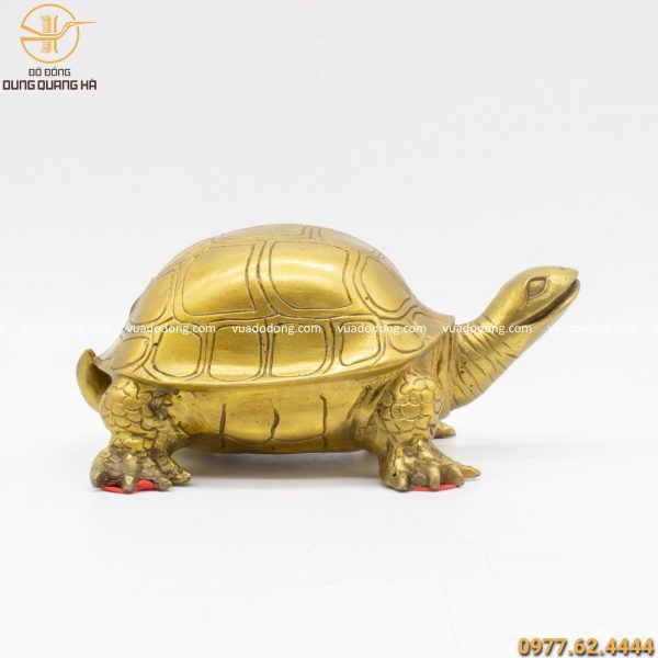 Tạo hình điêu khắc tượng rùa đồng vàng 20cm tỉ mỉ