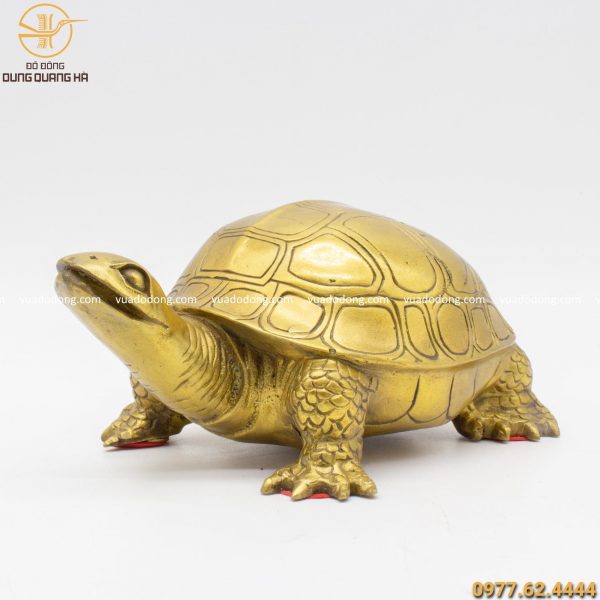Hình ảnh tượng rùa đồng vàng 20cm
