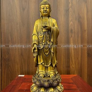 Tượng Đức Phật A Di Đà tiếp dẫn đồng vàng 36x13x13cm nặng 2,5kg