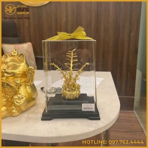 Quà tặng cây tiền mạ vàng kích thước 17cm x 22cm