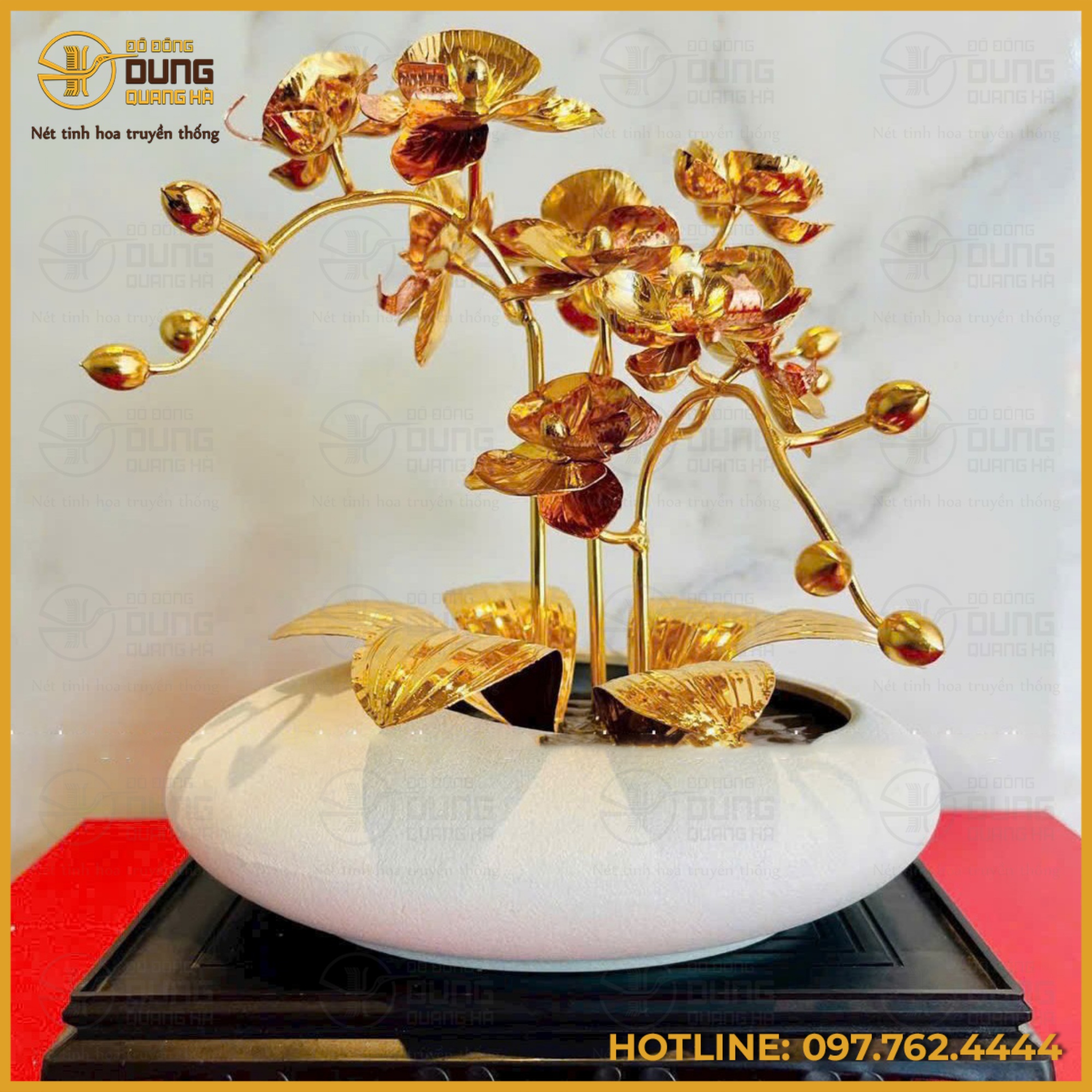 Vẻ đẹp thanh cao, sang trọng của chậu hoa lan hồ điệp 3 cành