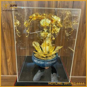 Chậu hoa lan bằng đồng đựng hộp mica