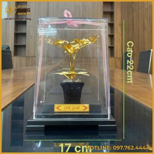 Chậu hoa bằng đồng mạ vàng 24k đựng hộp mica
