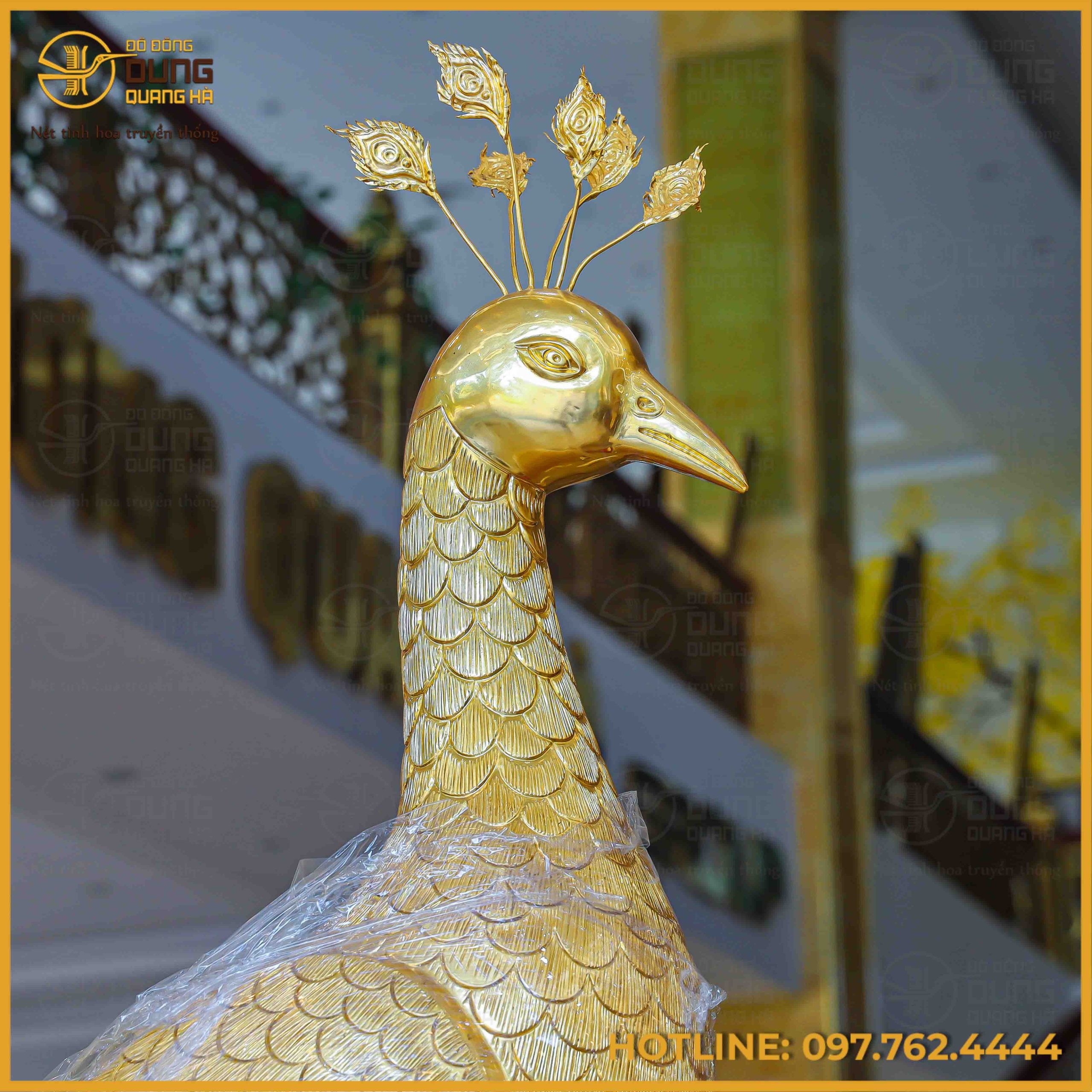 Phần đầu chim công được đặc tả rất sắc nét và mang tính thẩm mỹ cao